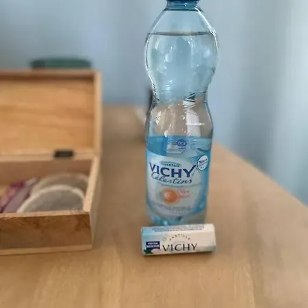 L'opaline - Proche Gare * Vichy